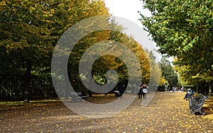 Golden autumn in Regent park, London, RegentÃÂ¢Ã¢âÂ¬Ã¢âÂ¢s park in fall season